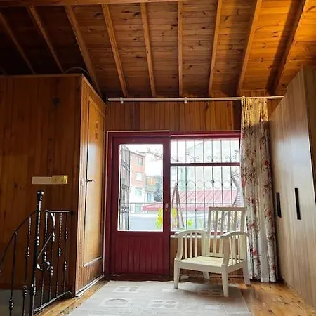 3+1,villa, 10min To Kadikoypier Villa Istanbul